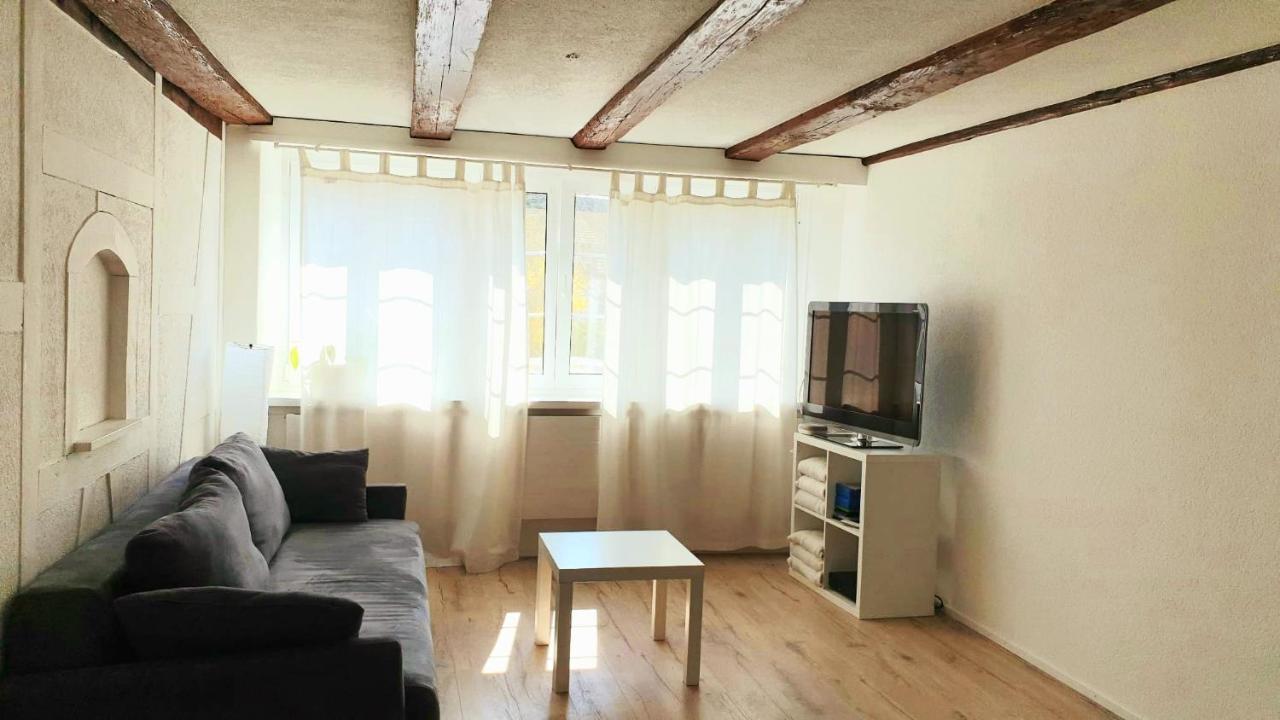 Cozy Apartment Close To Zurich Airport And City Oberglatt Ngoại thất bức ảnh