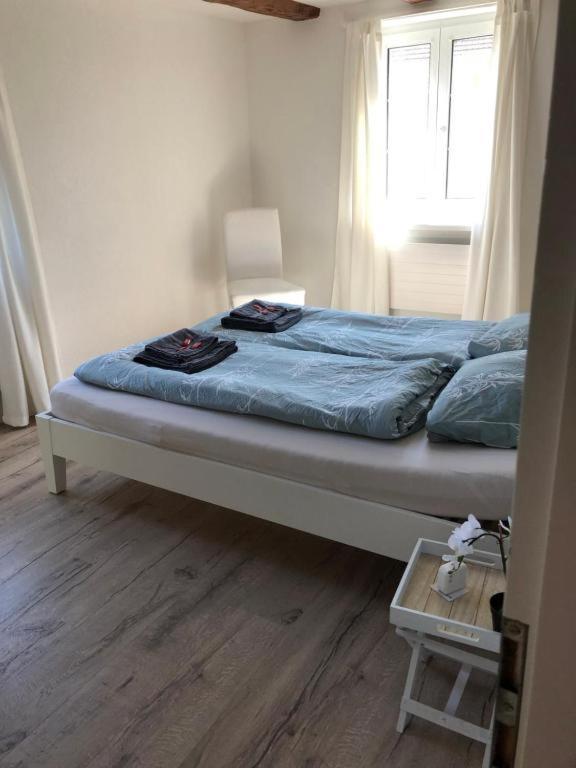 Cozy Apartment Close To Zurich Airport And City Oberglatt Ngoại thất bức ảnh
