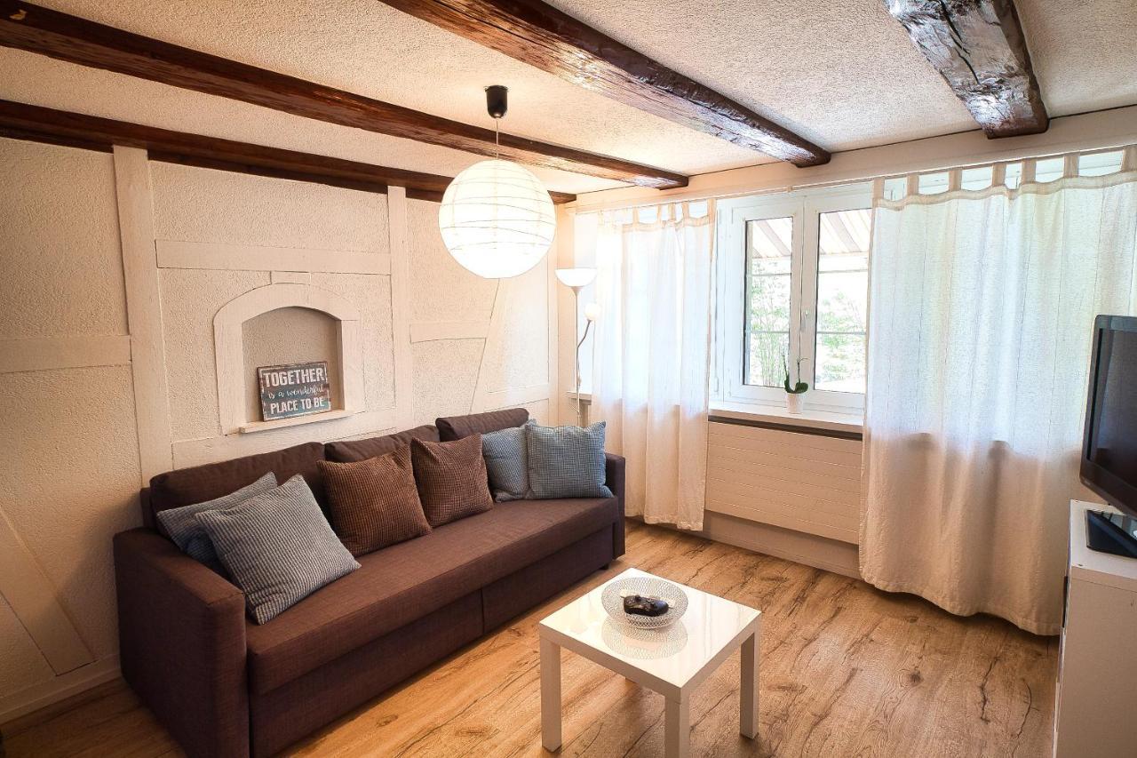 Cozy Apartment Close To Zurich Airport And City Oberglatt Ngoại thất bức ảnh