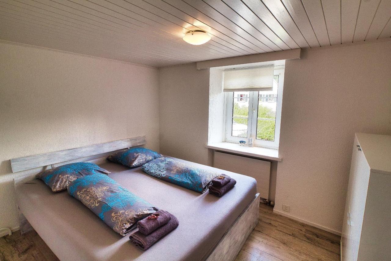 Cozy Apartment Close To Zurich Airport And City Oberglatt Ngoại thất bức ảnh