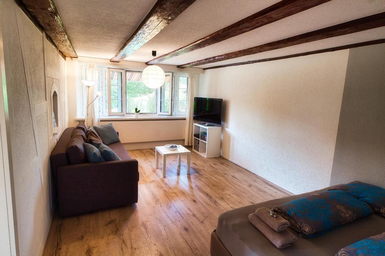 Cozy Apartment Close To Zurich Airport And City Oberglatt Ngoại thất bức ảnh