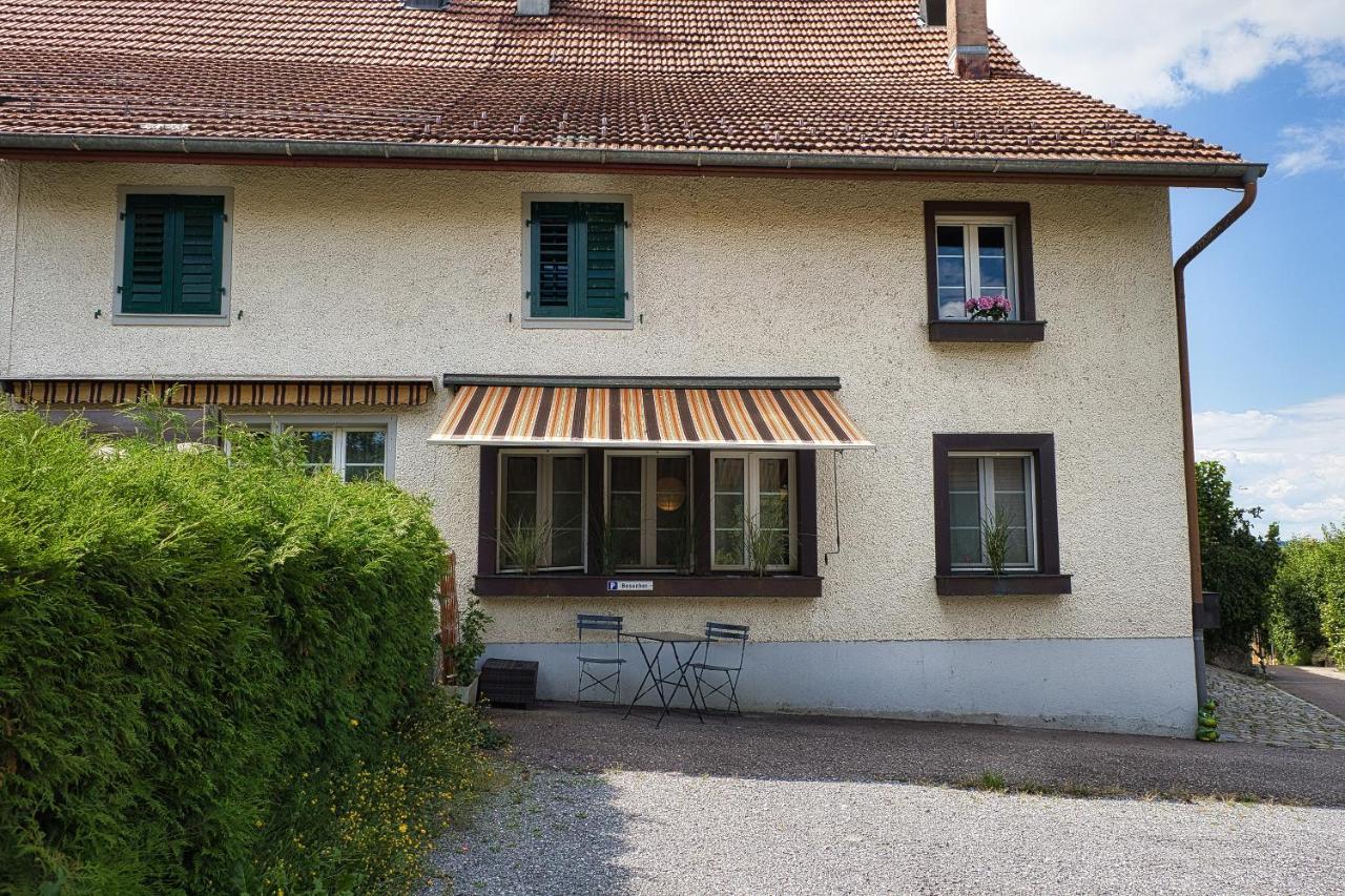 Cozy Apartment Close To Zurich Airport And City Oberglatt Ngoại thất bức ảnh